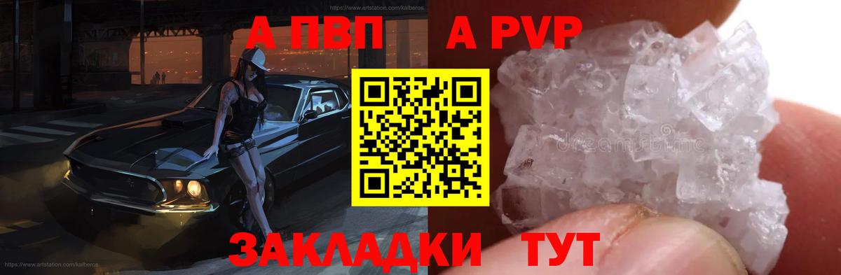 Альфа ПВП СК Нижний Новгород