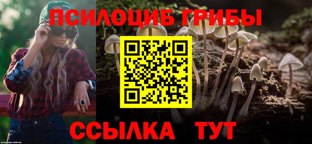 Псилоцибиновые грибы GOLDEN TEACHER  сколько стоит  Нижний Новгород  Вход с VPN 